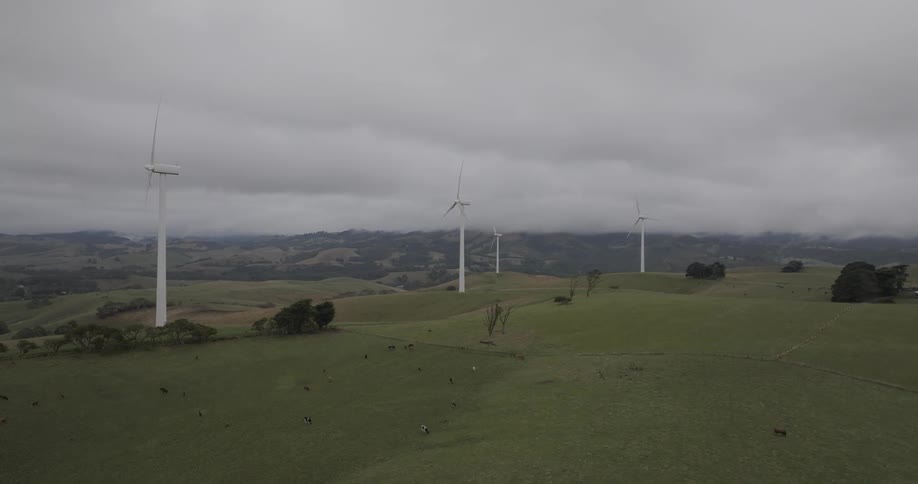A line of wind turbines spins on a lush green hillside under a heavy, overcast sky
