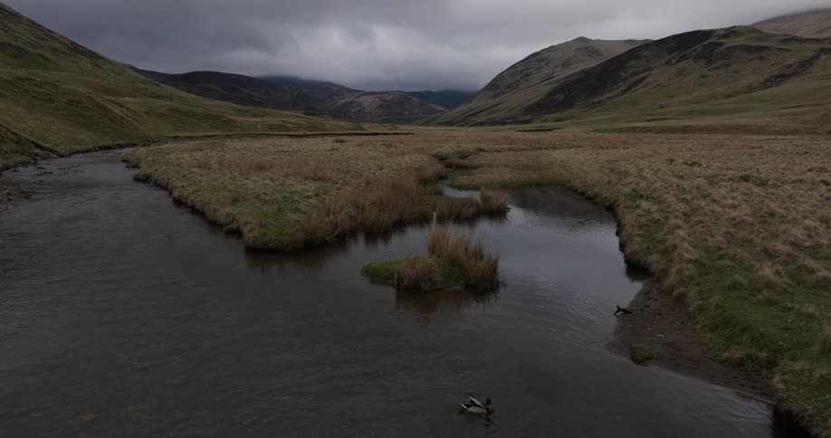 Slow aerial flight over a tranquil river winding through a vast, green valley in the Scottish Highlands on a moody, overcast day