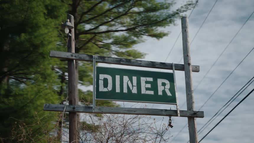 A weathered and broken green DINER sign hangs from a rustic wooden post on a rural roadside with trees in the background