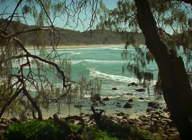 A tranquil view of turquoise ocean waves rolling onto a rocky coastline, framed by tree branches
