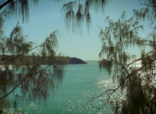 A tranquil view through tropical tree silhouettes of a sparkling turquoise ocean and a distant headland