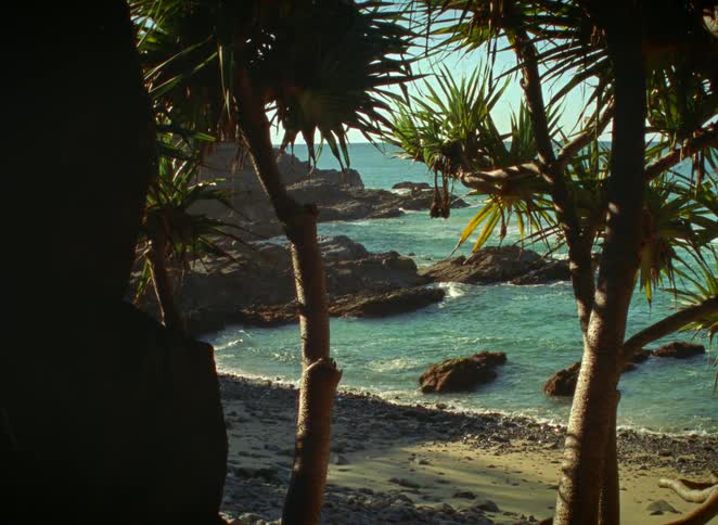 A tranquil, static shot of a secluded tropical cove with turquoise water seen through silhouetted trees