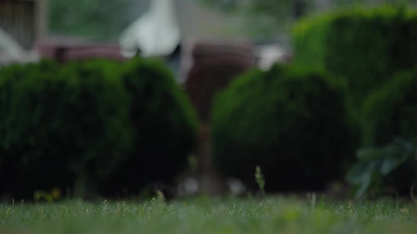 A low-angle, out-of-focus shot captures the playful energy of children's feet running across a green lawn