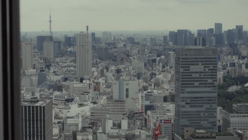 Observing the vast, sprawling Tokyo cityscape from a high-rise window on a cloudy day
