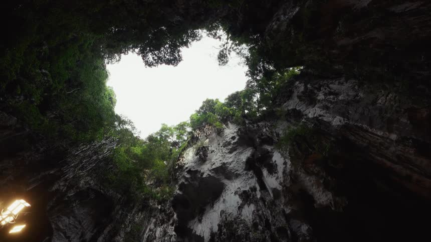 Gazing up from the dark interior of a massive cavern at the lush, green jungle framing a bright sky opening