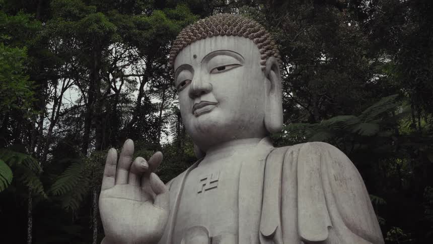 A stoic, grey stone Buddha statue with a swastika on its chest stands peacefully in front of a dense, green jungle