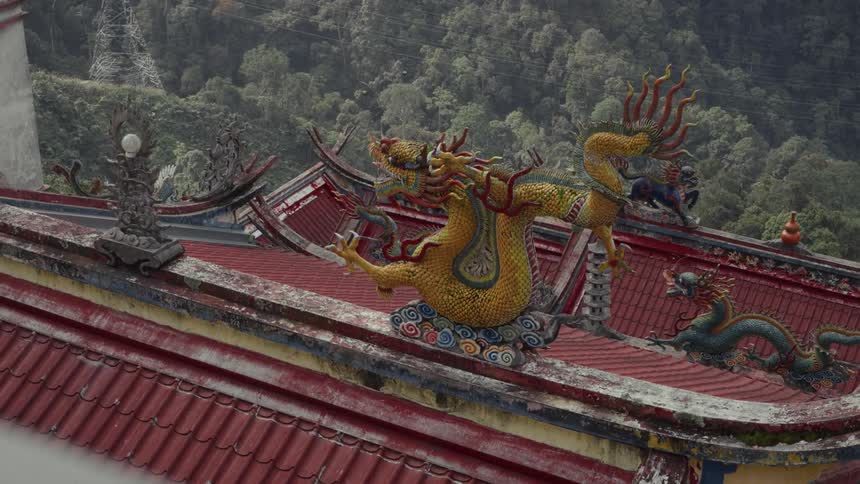 A slow zoom-out reveals an ornate, yellow dragon sculpture on the red-tiled roof of a Chinese temple, with a dense forest in the background