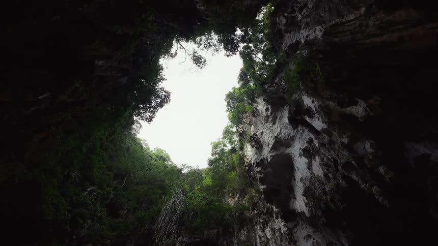 Looking up from inside a dark, ancient cave, a slow zoom-out reveals a beautiful opening to the sky surrounded by lush greenery