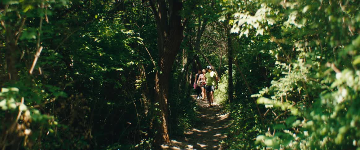 A group of active hikers walks single file down a narrow, sun-dappled path in a dense, green forest