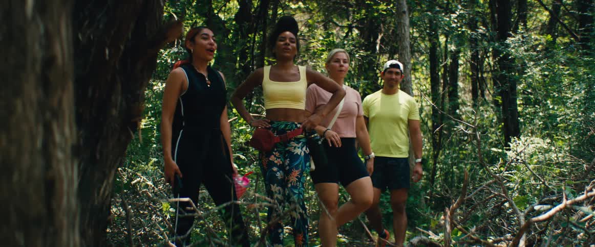 A group of diverse friends happily hike through a lush forest and pause to take in the scenery