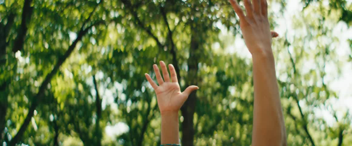 A serene woman with beautiful curly hair gracefully transitions through yoga poses in a sun-dappled park