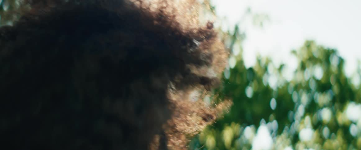 A person with curly hair stretches their arms towards the bright sun in a park in a dreamy slow motion shot