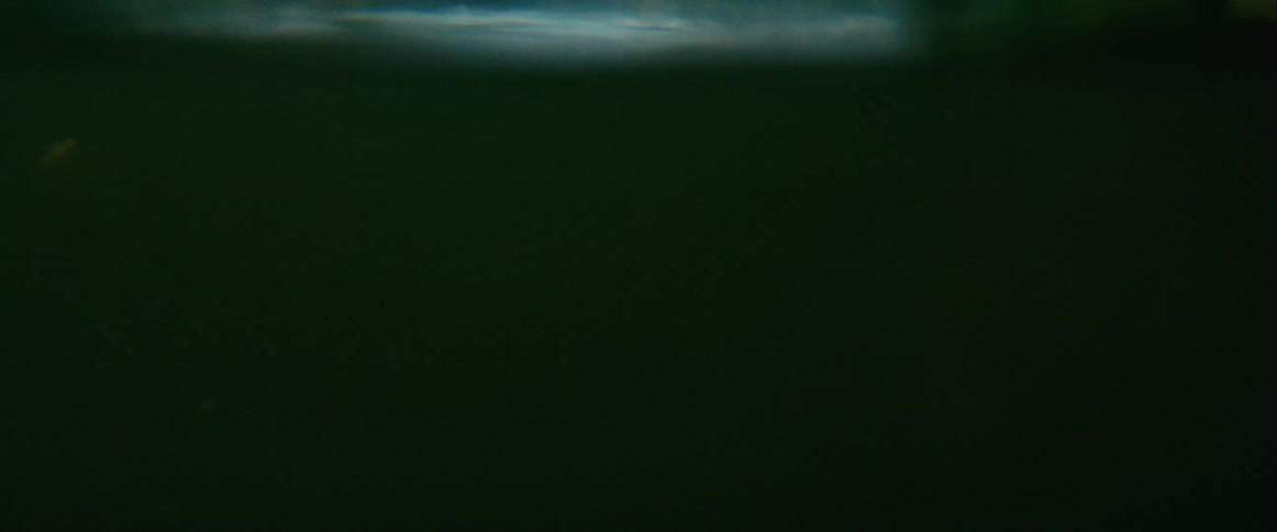 Boy surfaces while swimming in a forest river with cinematic half-underwater view