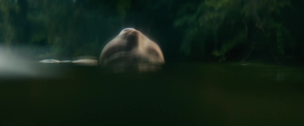 An ethereal close-up shot of a boys face peacefully floating on the surface of a misty river
