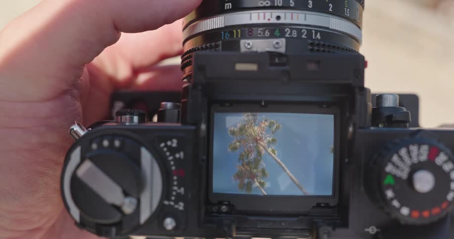 A photographer frames a classic shot of palm trees against a sunny blue sky through a vintage camera's waist-level viewfinder