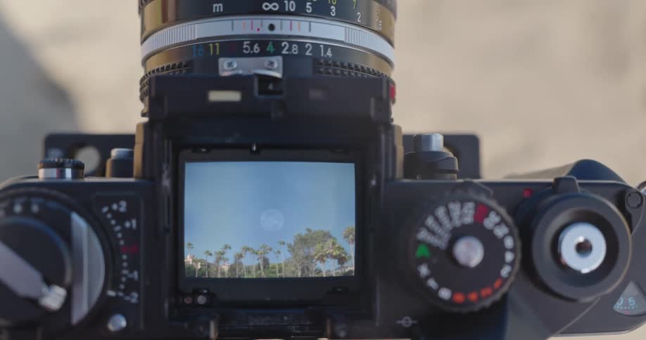 Close-up of a vintage film camera's viewfinder displaying a landscape with a full moon and palm trees