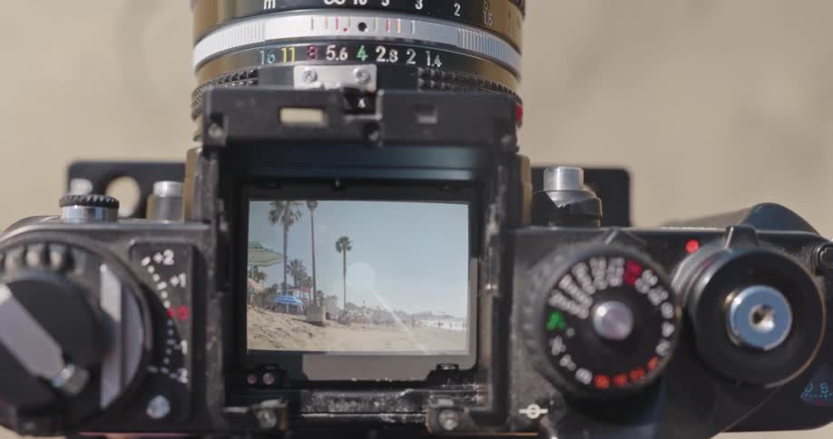 Close-up of a vintage SLR camera's viewfinder framing a sunny beach scene with palm trees and sand