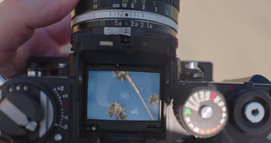 A photographer looks through the viewfinder of a vintage film camera, adjusting the focus on tall palm trees against a bright blue sky
