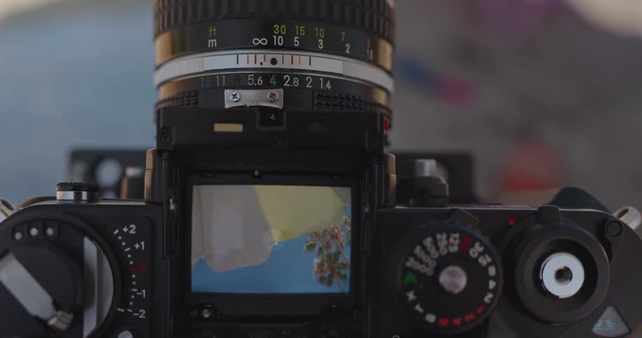 Vintage film camera viewfinder frames a sunny beach scene with a palm tree and umbrella