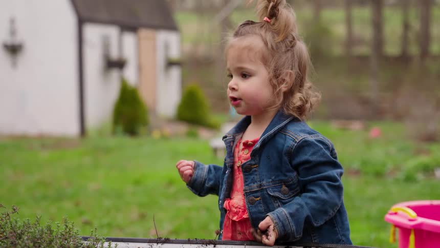 An adorable toddler girl with her hair in a ponytail curiously plays with dirt in a garden planter