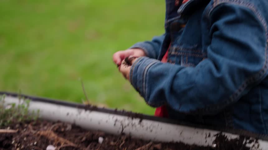 A curious toddler in a denim jacket plays with the soil in a backyard garden bed