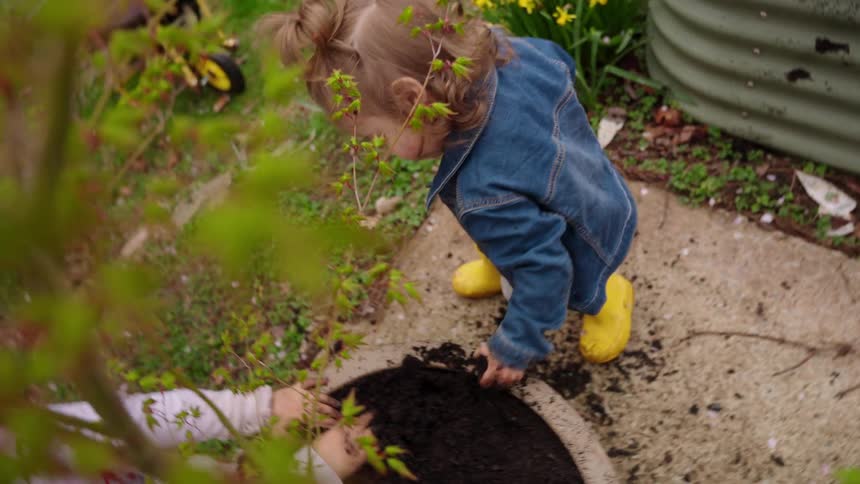 A curious toddler with muddy hands gently touches the leaves of a small tree while playing in a lush spring garden
