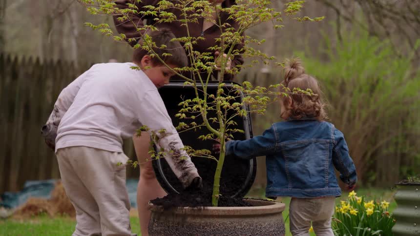 A mother, son, and toddler daughter work together to plant a small maple tree in a large pot in their backyard garden