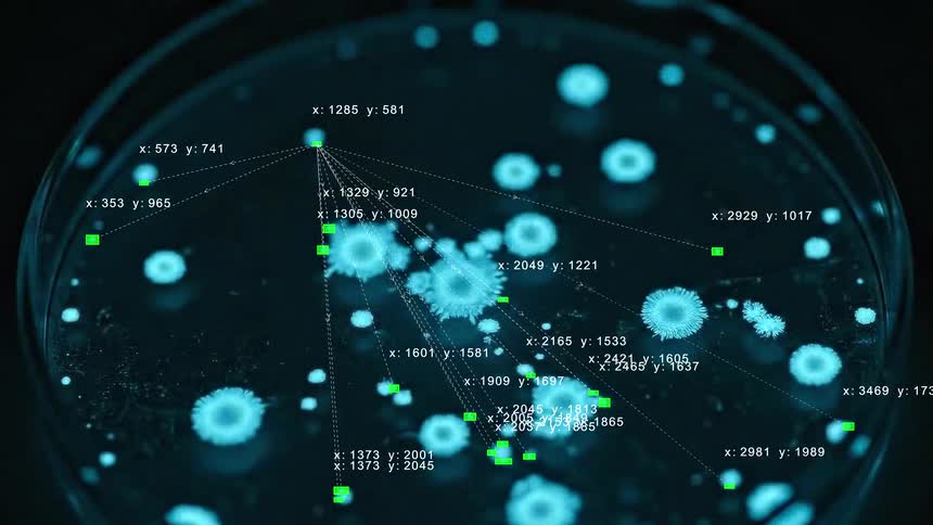 A visualization of bacterial colony growth in a petri dish with animated data analysis tracking the expansion