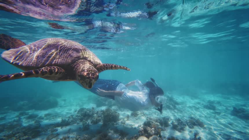 An incredible underwater encounter shows a snorkeler peacefully swimming alongside a majestic sea turtle in slow motion