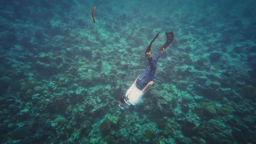 A woman in a snorkel and flippers dives deep into the clear ocean to explore a vast coral reef in slow motion