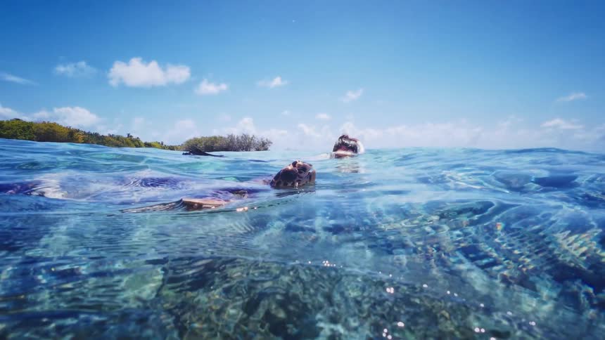 A snorkeler has a close encounter with a large sea turtle, swimming alongside it in the crystal-clear turquoise water above a coral reef