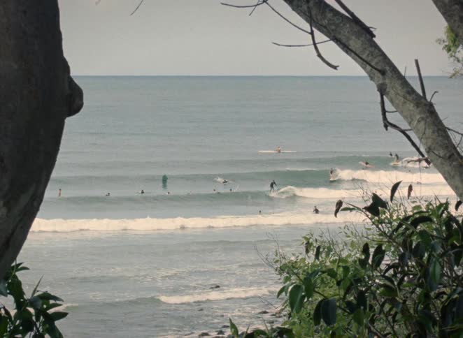 A serene, wide shot shows numerous surfers riding the gentle rolling waves of the ocean, framed by trees on the shore