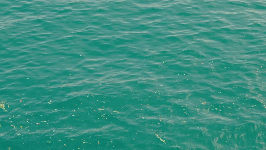 Gentle turquoise ocean waves ripple with bits of seaweed floating on the surface