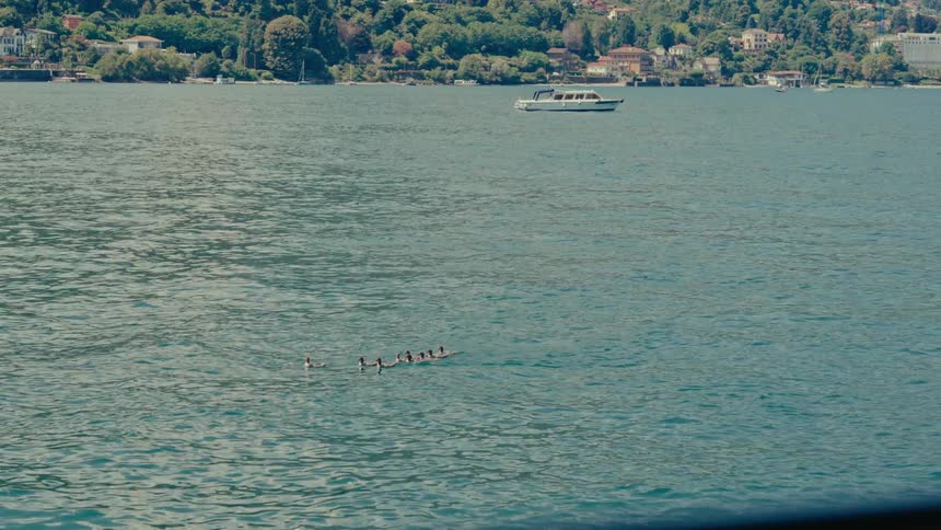 A flock of birds swims in single file across a tranquil blue lake on a sunny day
