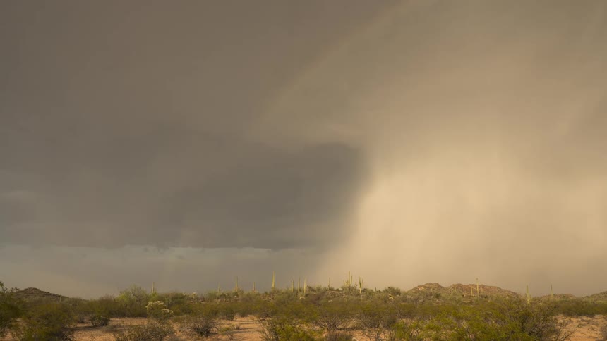 A powerful desert thunderstorm unleashes a bolt of lightning and a heavy downpour, followed by a beautiful rainbow appearing over the saguaro cactus landscape