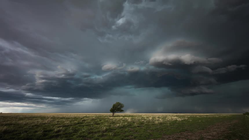 Storm clouds gather over a lone tree in a field