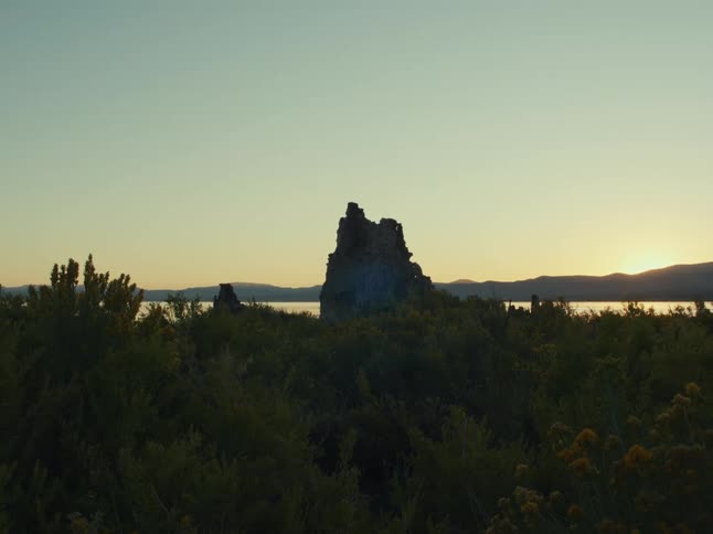 A serene sunset casts a warm glow over Mono Lake, silhouetting a prominent tufa tower and the lush vegetation in the foreground