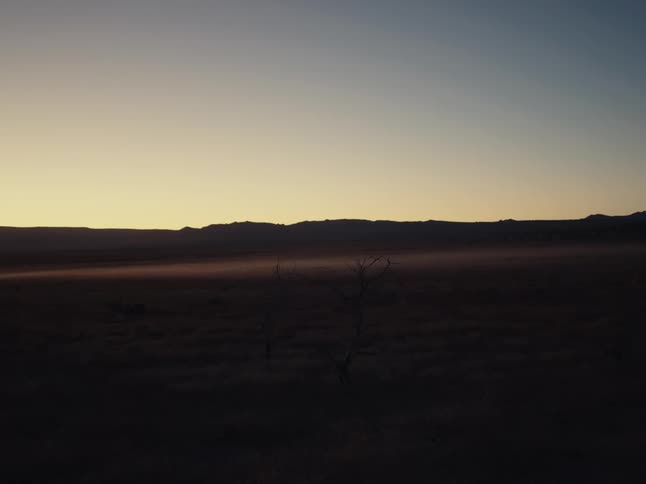 The first light of dawn casts a warm glow over a misty desert landscape with a bare tree in the foreground
