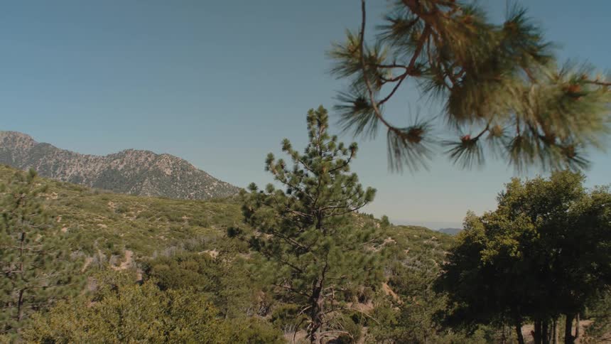 A peaceful mountain landscape with lush green trees and a clear blue sky, framed by pine branches