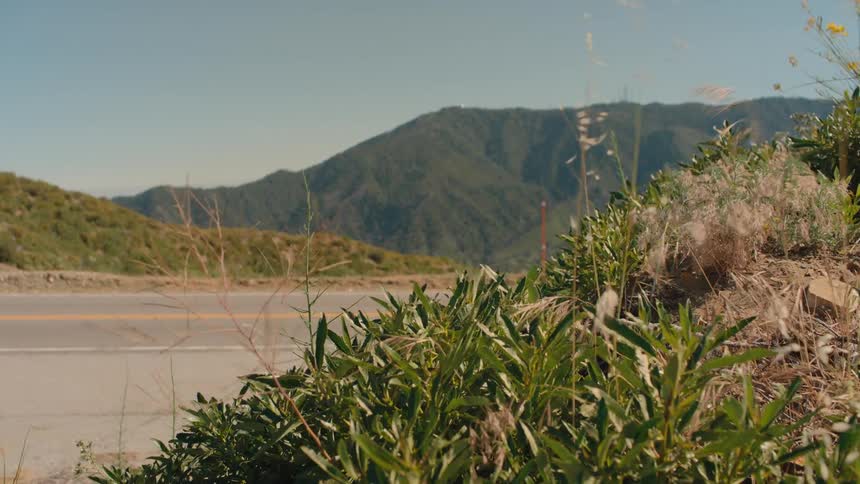Wind blows through roadside weeds with a scenic mountain range visible in the background on a sunny day