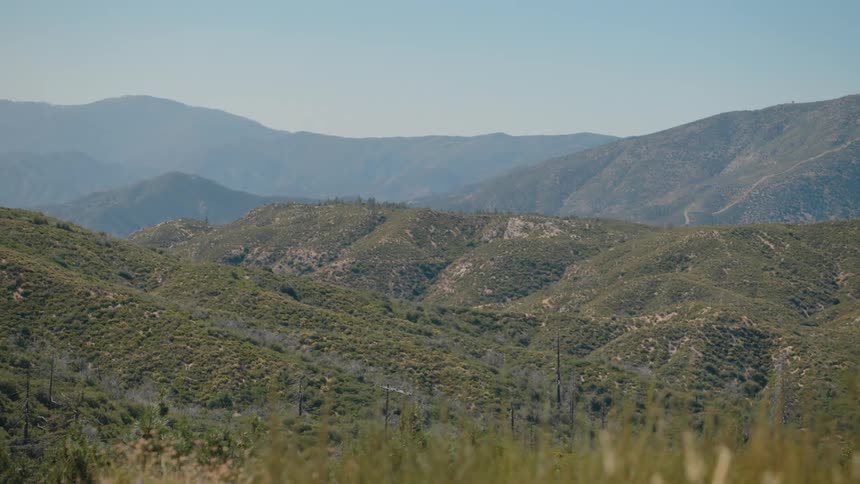 A slow focus pull reveals a vast, rolling mountain landscape behind foreground wild grasses