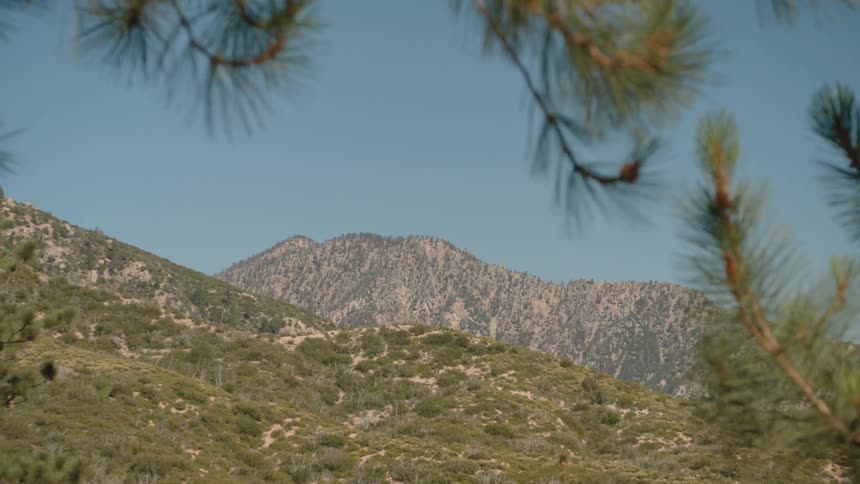 A scenic view of a vast mountain range is framed by out-of-focus pine tree branches swaying in the breeze