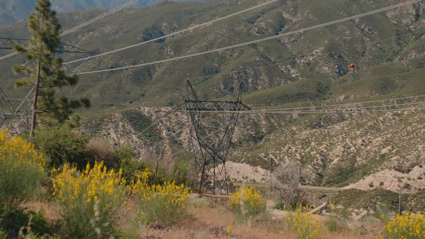Vibrant yellow wildflowers bloom on a sunny hillside overlooking a mountain range with electrical power lines