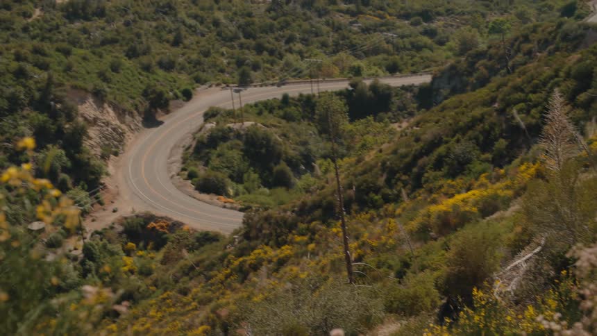 A scenic pan from wildflowers reveals a winding two-lane road snaking through a lush green mountain canyon on a sunny day