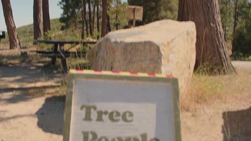 A tilt-down shot from a tall evergreen tree reveals a 'Tree People' sign in a sunny park