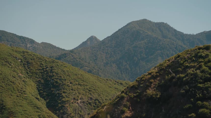 A scenic dolly shot past foreground brush reveals a vast and verdant mountain range under a clear summer sky
