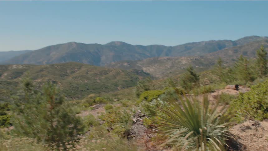 From a detailed view of a yucca plant, the camera pulls back to a majestic vista of green, rolling mountains on a clear day