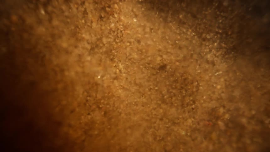 A mesmerizing macro shot of golden sand particles swirling in a dark, mysterious liquid