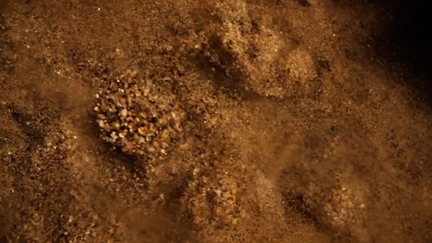Hypnotic patterns form as brown sand and pebbles dance and vibrate to invisible sound waves in a macro shot