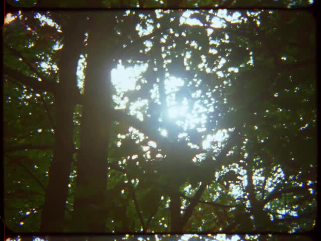 Vintage film footage captures the sun's rays beaming through a lush green forest canopy